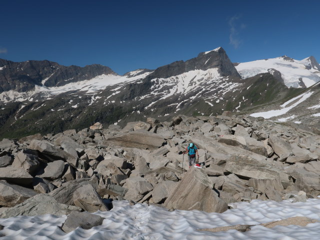 Ursa am Wildenkogelweg zwischen Venediger Höhenweg und Wildenkogelscharte (16. Juli)