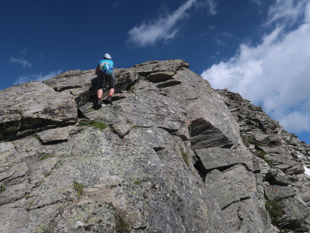 Ursa zwischen Wildenkogelscharte und Wildenkogel (16. Juli)