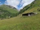 zwischen Bodenalm und Wallhorner Alm (14. Juli)