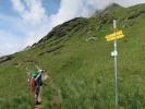 Ursa zwischen Wallhorner Alm und Fensterhütte (14. Juli)