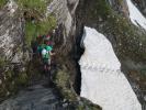 Ursa am Venediger Höhenweg zwischen Badener Hütte und Löbbentörl (16. Juli)