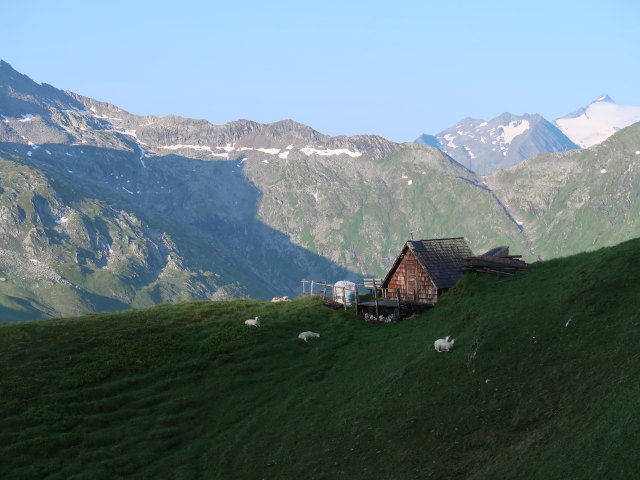 zwischen Reinkarhütte und Riedingscharte