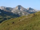 zwischen Reinkarhütte und Riedingscharte