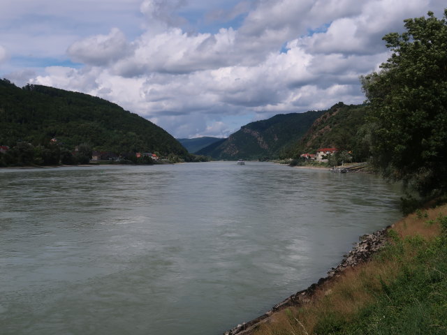 Donau bei Aggsbach