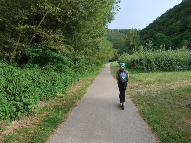 Sabine zwischen Rossatzbach und Hundsheim