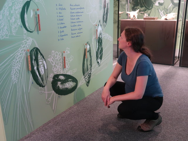 Sabine in der Sonderausstellung 'Kelten' im Museum Mistelbach