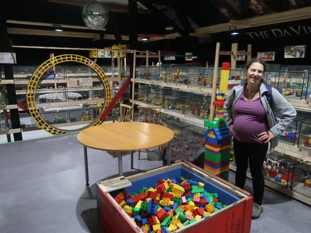 Sabine in der LEGO&reg;-Technic-Sammlung