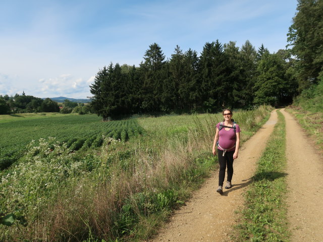 Sabine zwischen Brunngraben und Ruine Zelking