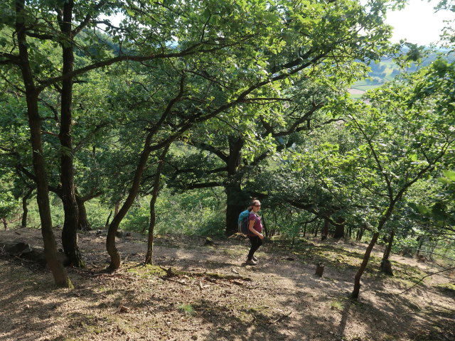Sabine zwischen Rogelstein und Wei&szlig;em Stein