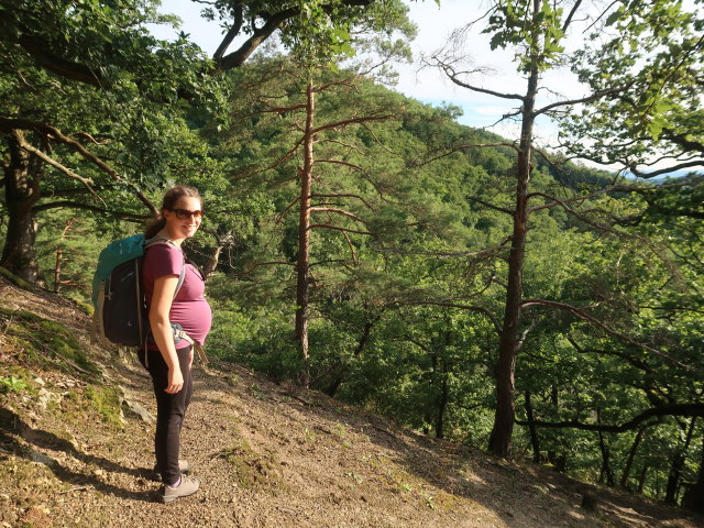 Sabine zwischen Rogelstein und Wei&szlig;em Stein