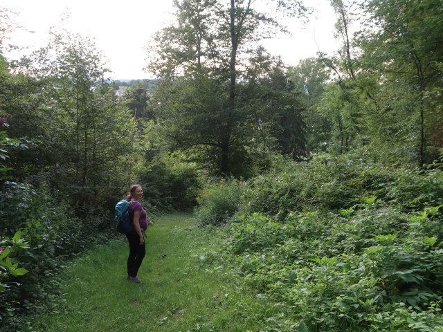 Sabine zwischen Wei&szlig;em Stein und Brunngraben