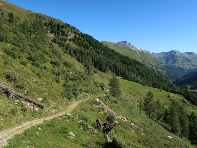 zwischen Ochsnerh&uuml;tte und Hinterm-Holz-Alm (12. Aug.)