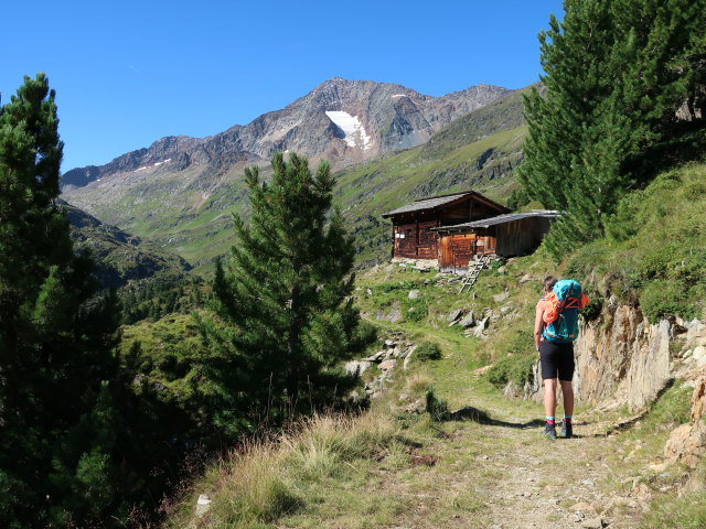 Larissa auf der Hinterm-Holz-Alm, 2.164 m (12. Aug.)