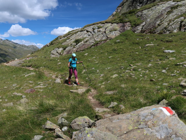Ursa zwischen Elberfelder H&uuml;tte und G&ouml;ssnitzbach (12. Aug.)