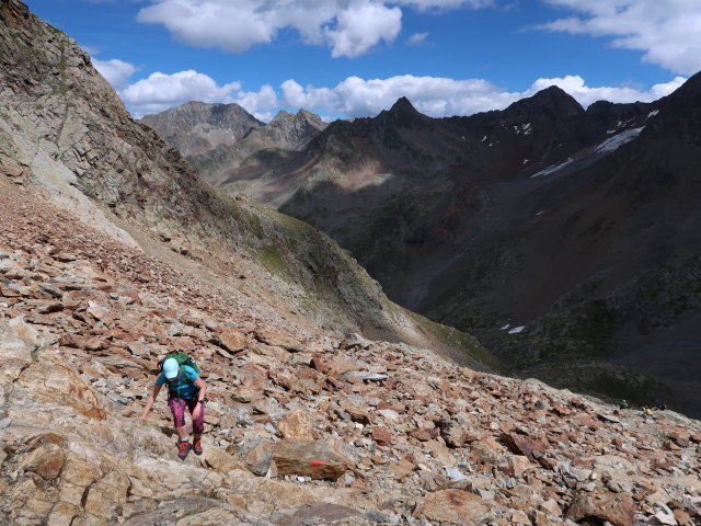 Ursa zwischen G&ouml;ssnitzbach und Rotem Knopf (12. Aug.)