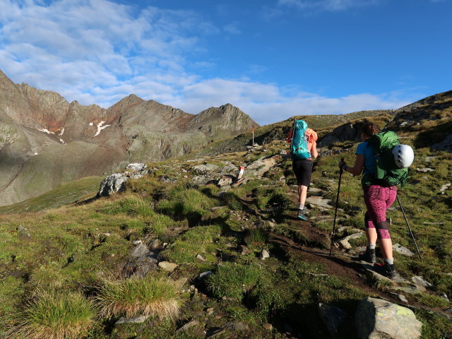 Larissa und Ursa am Wiener H&ouml;henweg zwischen Tramerbach und Kesselkeessattel (13. Aug.)