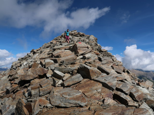 Ursa zwischen B&ouml;sem Weibl und Peischlachbach (13. Aug.)