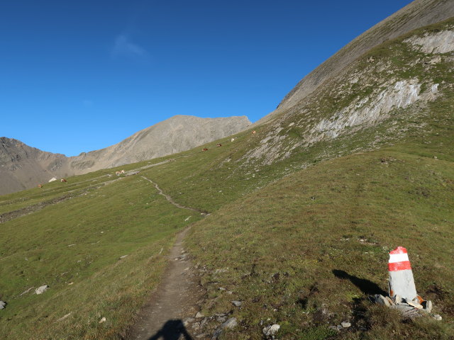Wiener H&ouml;henweg zwischen Salmh&uuml;tte und Ganitzen (15. Aug.)