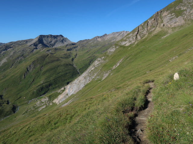 Wiener H&ouml;henweg in Ganitzen (15. Aug.)