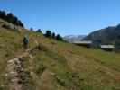 Ursa auf der Hinterm-Holz-Alm, 2.164 m (12. Aug.)