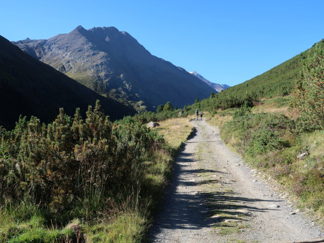 Niedertal zwischen Vent und Liechtl (19. Aug.)