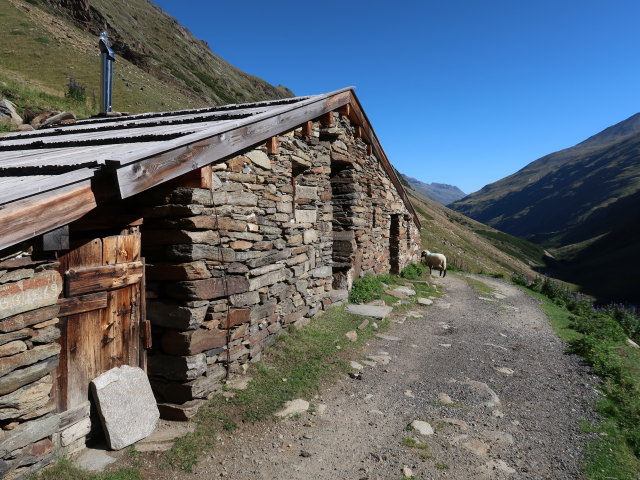 Sch&auml;ferh&uuml;tte, 2.230 m (19. Aug.)
