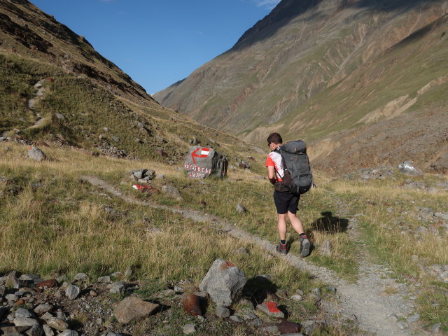Ronald zwischen Rofenache und Hochjoch-Hospiz (20. Aug.)