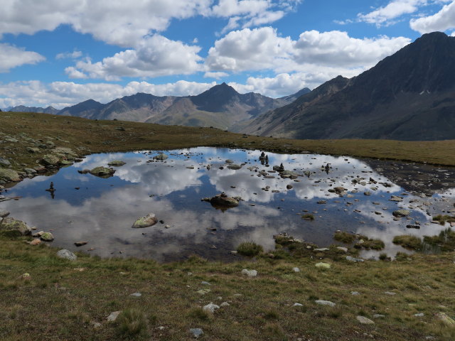 neben dem Seuffertweg zwischen Vernagtbach und Platteikar (21. Aug.)