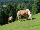 zwischen Schoberriegel und Turrachsee