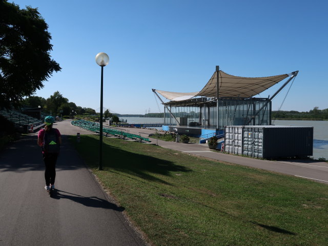 Sabine bei der Donaub&uuml;hne in Tulln