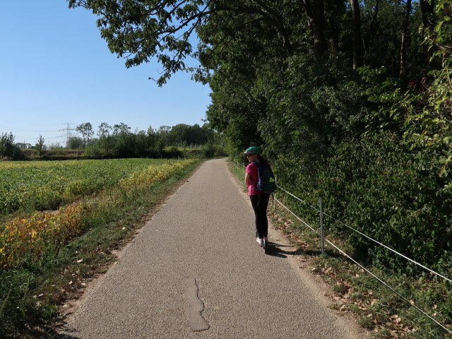 Sabine zwischen Langenschönbichl und Pischelsdorf