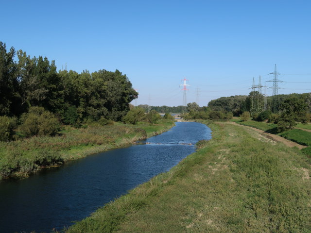 Traisen bei deren Mündung