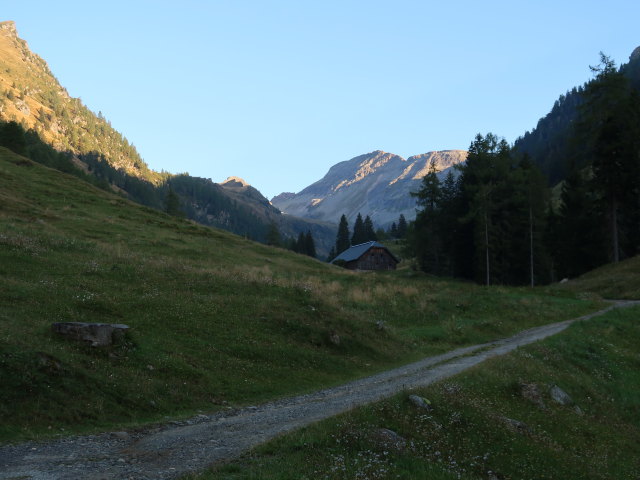 zwischen Parkplatz Kohlmaierhütte und Kohlmaierhütte (9. Sep.)