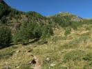 zwischen Dösner Hütte und Konradlacke (10. Sep.)