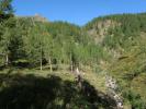 zwischen Dösner Hütte und Konradlacke (10. Sep.)