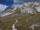 zwischen Schartwand und Eiskogel (16. Sep.)