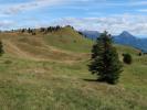 Mauthner Alm