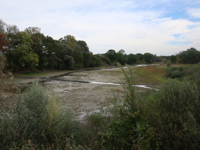 March-Altarm zwischen Stillfried und Dürnkrut