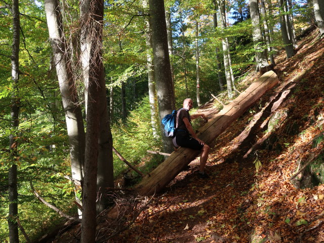 Frank am J&auml;gersteig zwischen Glatzwiesensattel und Karlstein-Felskanzel