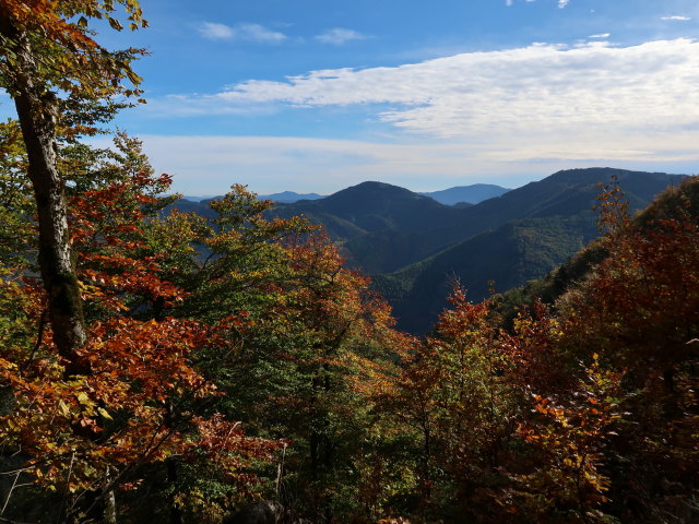 zwischen Muckenkogel und Hinteralm