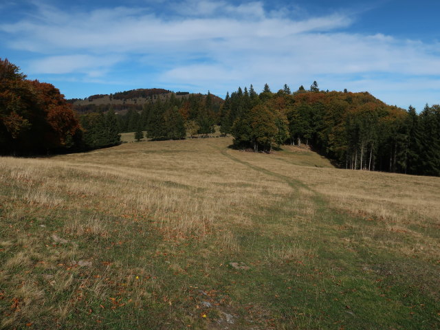 Sternleiten