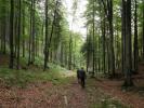 Frank und Mario im Schachernwald