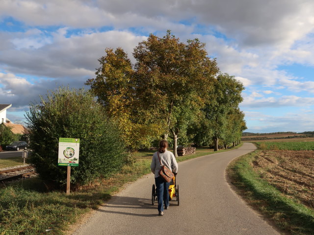 Sabine in Asparn an der Zaya