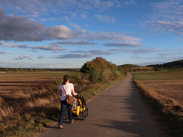Sabine zwischen Asparn an der Zaya und Hüttendorf