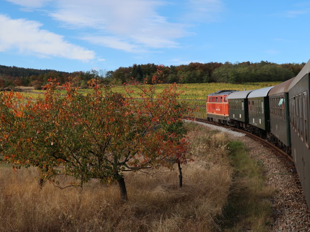 zwischen Retz und Hofern