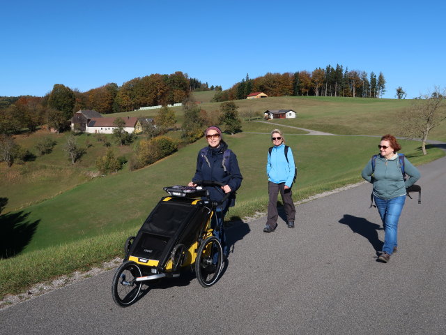 Nils, Sabine, Mama und Brigitte zwischen Dreihöf und Meiselhöhe