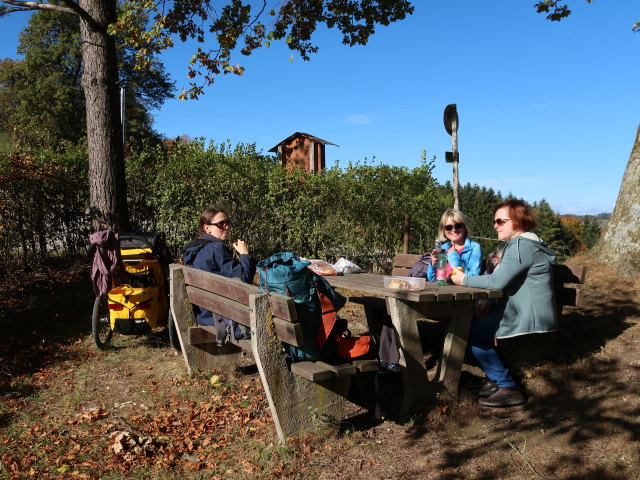 Sabine, Mama und Brigitte in Kopetzöd