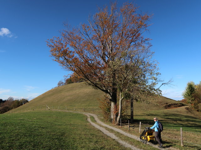 Mama zwischen Kaiserkogel und Taubenstein