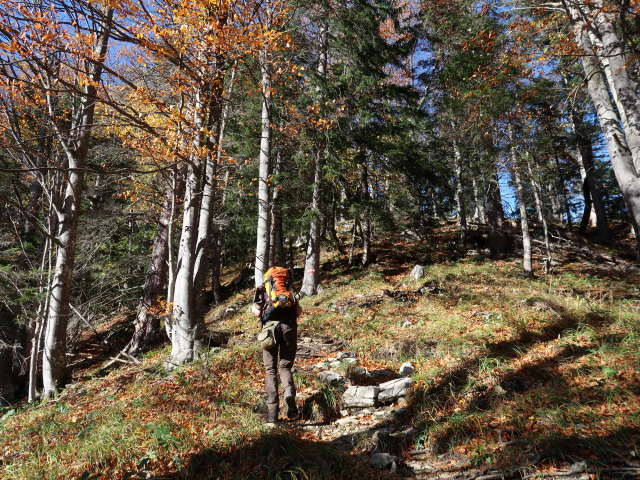 Bernadette zwischen Wenten und Stumpfmauer