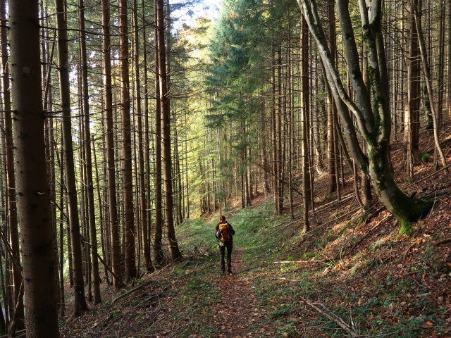 Bernadette zwischen Halsmoaralmh&uuml;tte und Hainbach